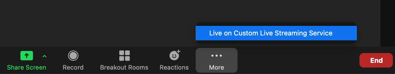 Zoom More menu